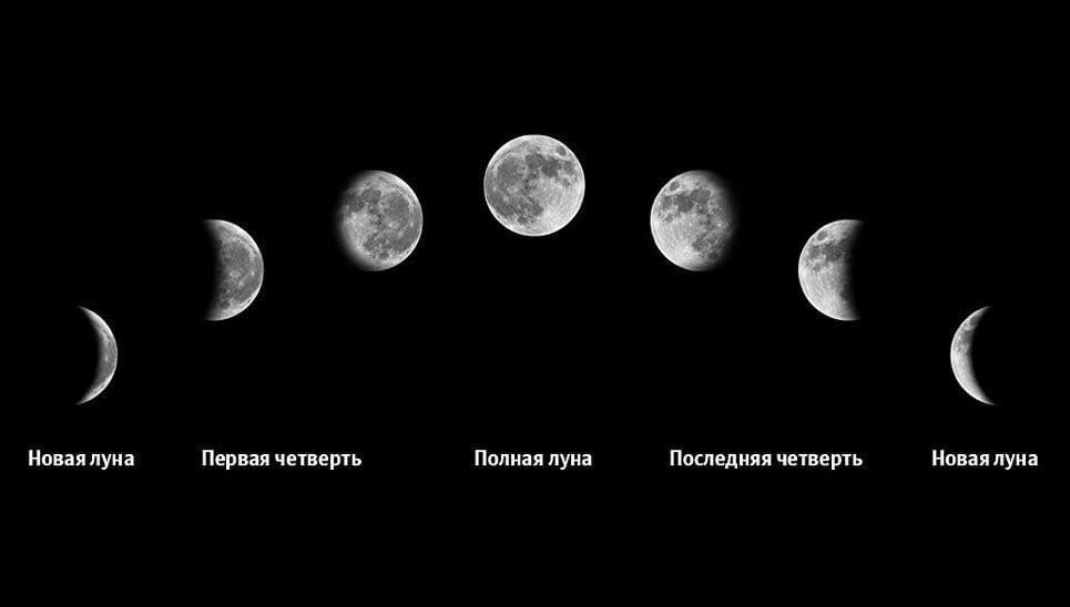 Астрономическая минута на неделю с 1 по 7 августа