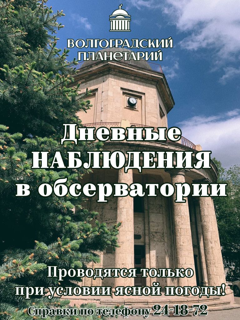 дневные.jpg дневные.jpg