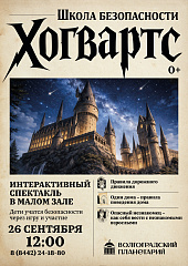 Школа безопасности Хогвартс