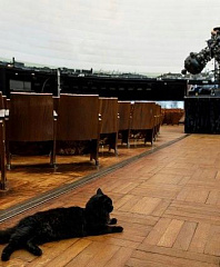 «Космическая Котовасия» стартует в ноябре в планетарии