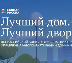 Лучший дом. Лучший двор