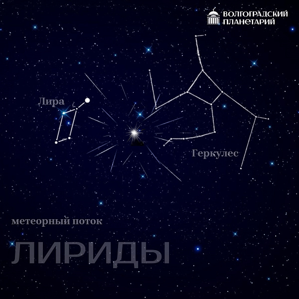 Встречаем первый весенний "звездопад"