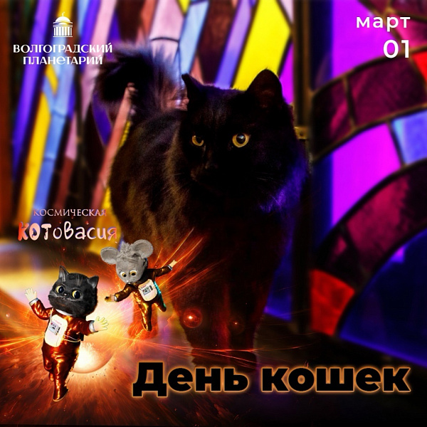 1 марта — День кошек в России!