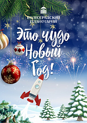 Новогоднее волшебство под звездным куполом