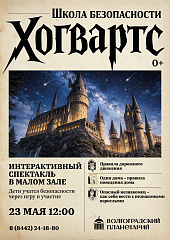 Школа безопасности Хогвартс